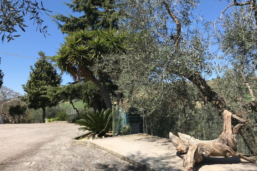 ポルト・ダスコリCasa Lu Monaco Tranquillita A Due Passi Dal Mareアパートメント エクステリア 写真
